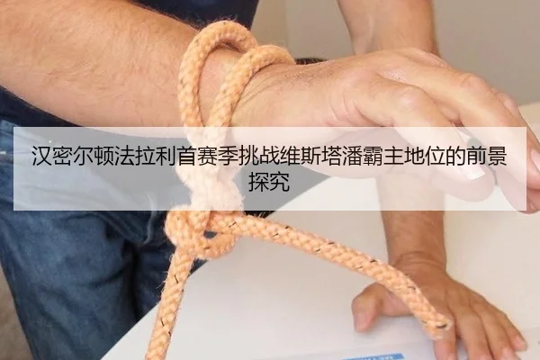 汉密尔顿法拉利首赛季挑战维斯塔潘霸主地位的前景探究
