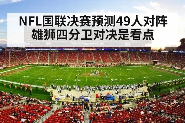 NFL stadium crowd